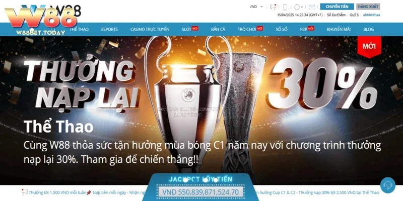 Giới thiệu chung về thương hiệu cá cược W88 